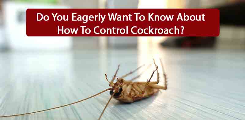 cockroach control | Sivalika Associates