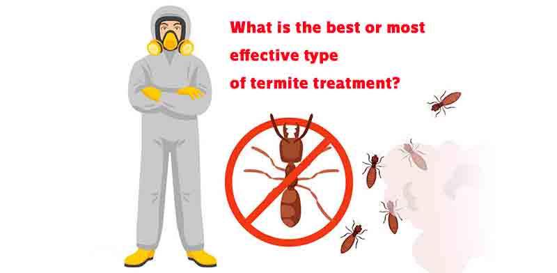 most effective type of termite treatment