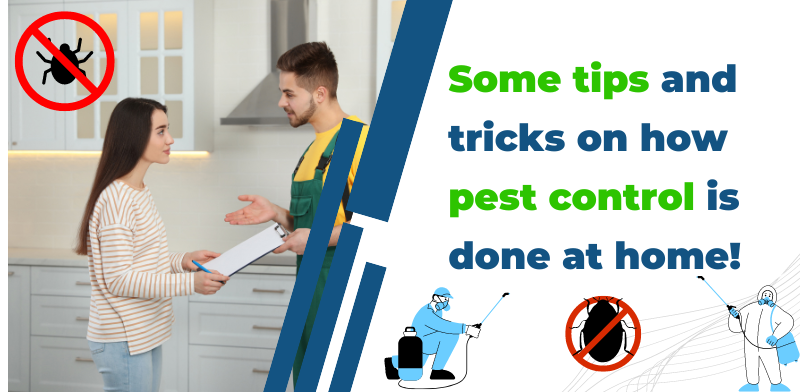 Some tips and tricks on how pest control is done at home