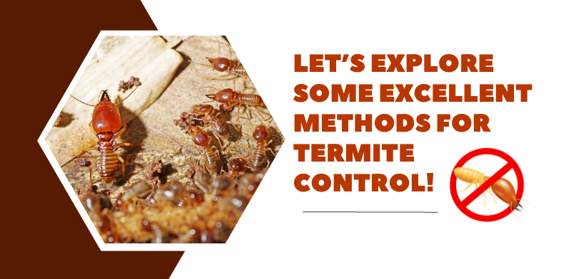 Termite control methods