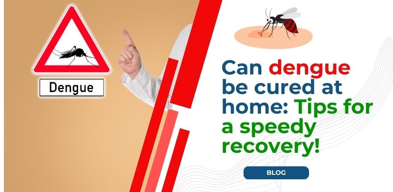 Let’s explore how can dengue be cured at home.