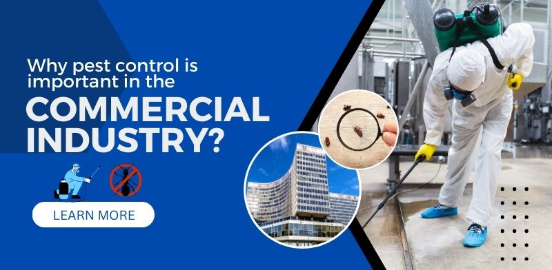 Why pest control is important in the commercial Industry