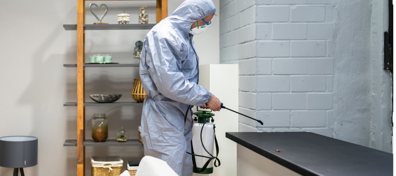 Eco‑friendly and rapid pest control