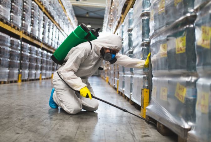 Pest control company in Kolkata team working