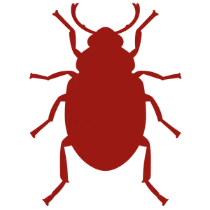 Bed Bugs Control Services in Kolkata