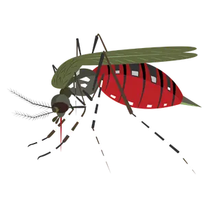 Mosquito Control Services in Kolkata