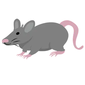 Rodent Control Services in Kolkata