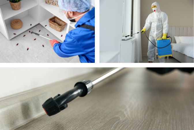 Advanced Pest Control Laboratory